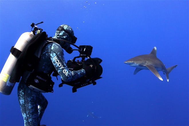 Sharkwater Extinction Photo 5 - Large