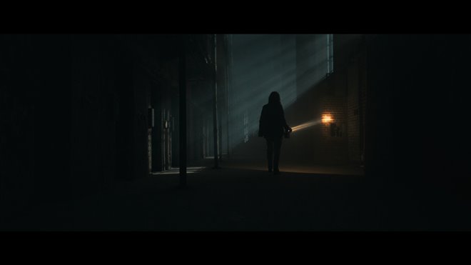 Shelby Oaks Photo 5 - Large