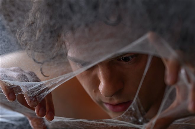 Spider-Man: Brand New Day Photo 5 - Large