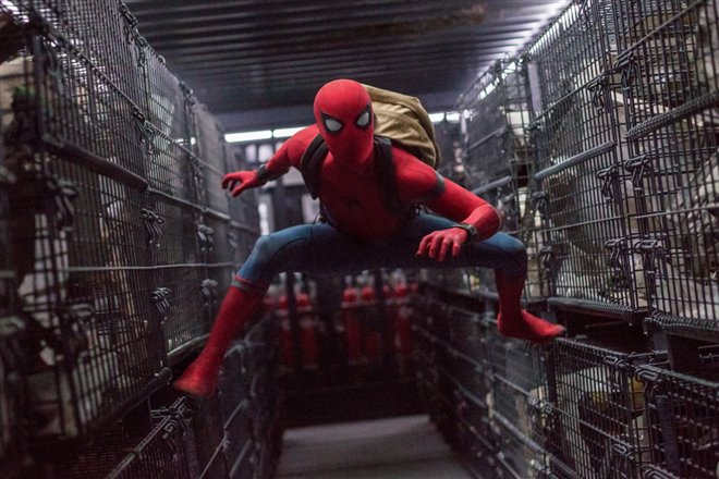 Spider-Man: Homecoming Photo 19 - Large