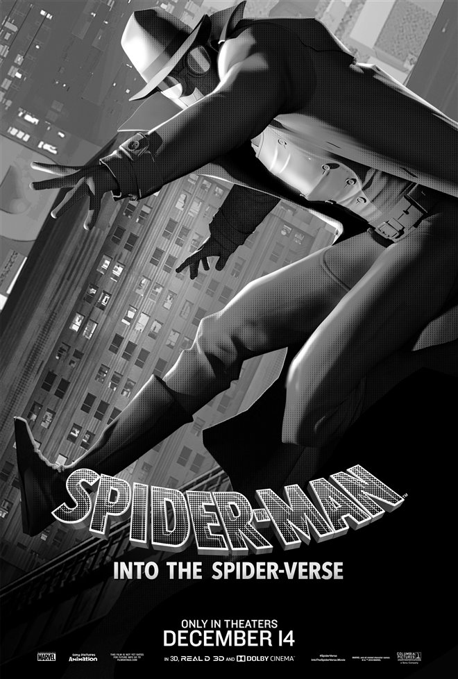 Spider-Man: Into the Spider-Verse Photo 23 - Large
