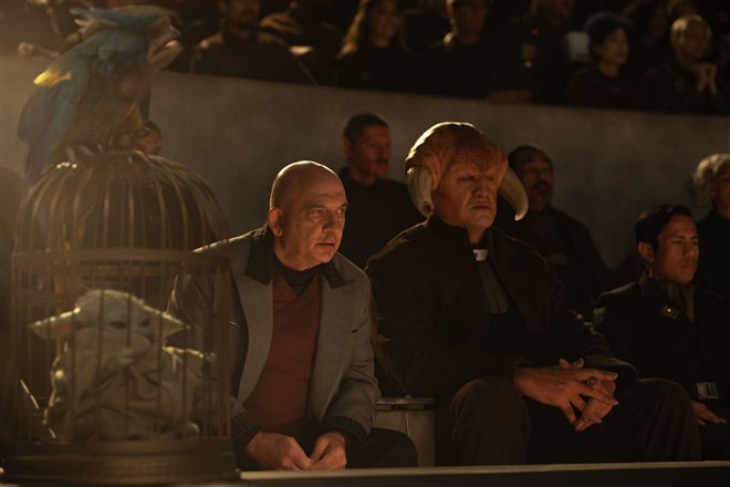 Star Wars: The Mandalorian and Grogu Photo 29 - Large