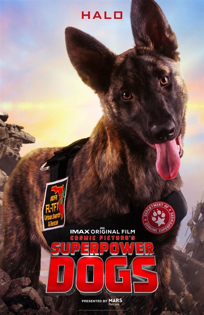 Superpower Dogs Photo 7 - Large