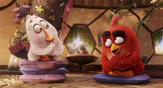 The Angry Birds Movie Photo 27 - Large