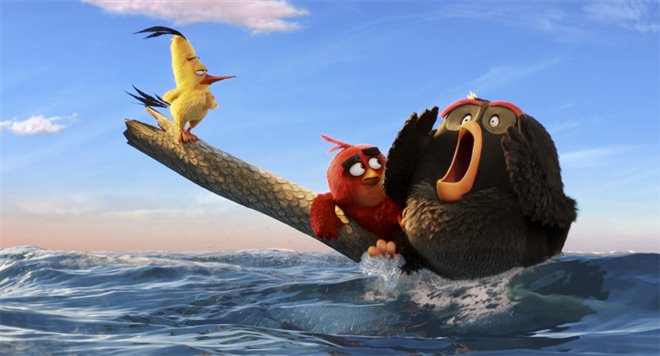 The Angry Birds Movie Photo 29 - Large