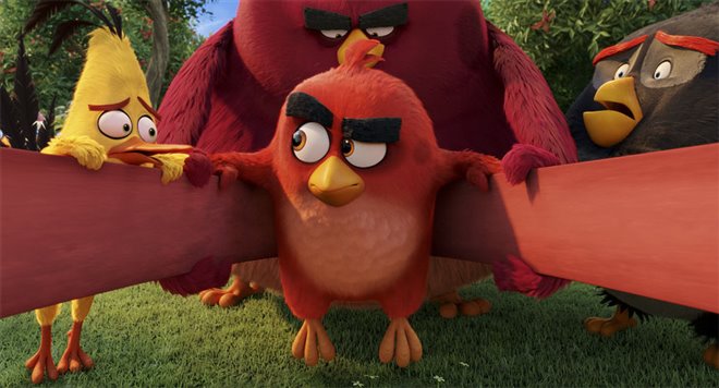 The Angry Birds Movie Photo 33 - Large