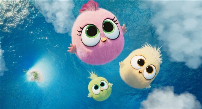 The Angry Birds Movie 2 Photo 5 - Large