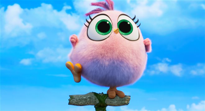 The Angry Birds Movie 2 Photo 33 - Large