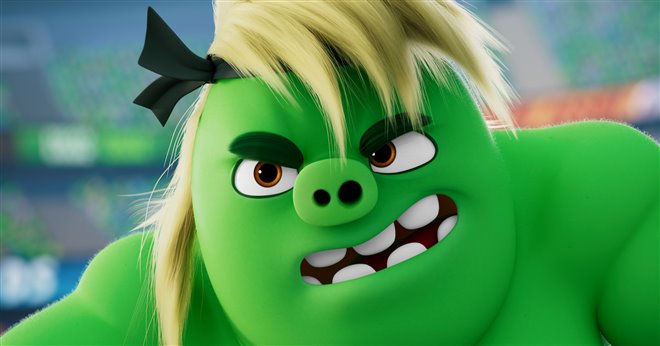 The Angry Birds Movie 3 Photo 5 - Large