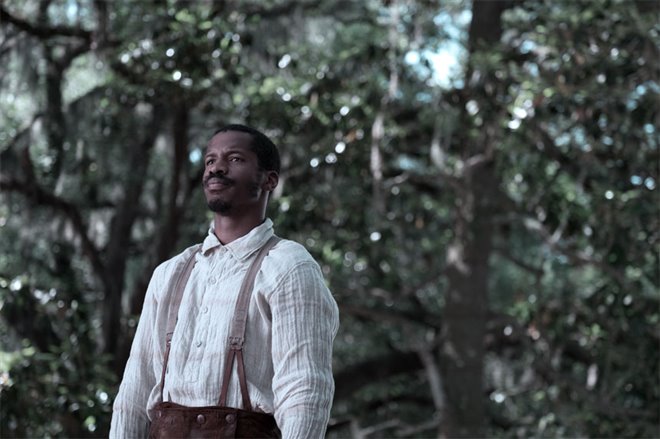 The Birth of a Nation Photo 2 - Large