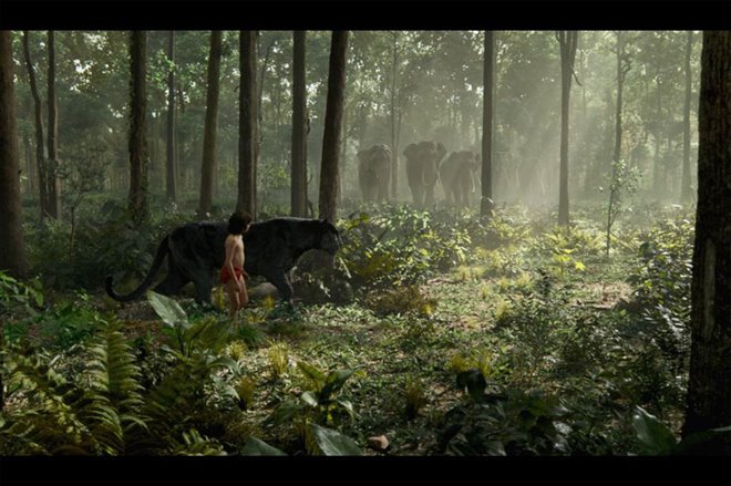 The Jungle Book Photo 24 - Large