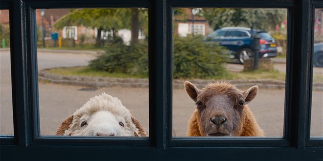The Sheep Detectives Photo 6 - Large