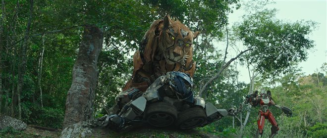 Transformers: Rise of the Beasts Photo 24 - Large