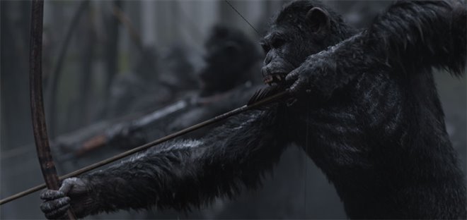 War for the Planet of the Apes Photo 4 - Large