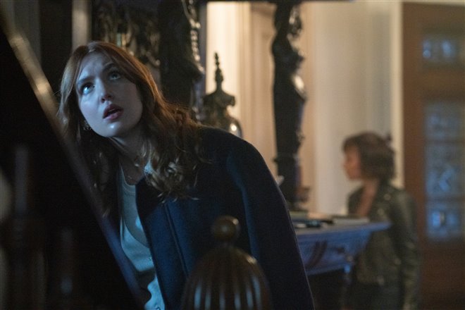 Whistle Photo 3 - Large