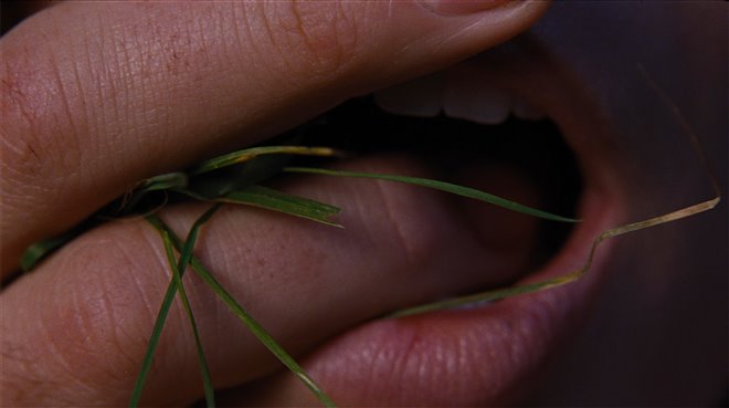 Wuthering Heights Photo 6 - Large