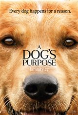 A Dog's Purpose Movie Trailer