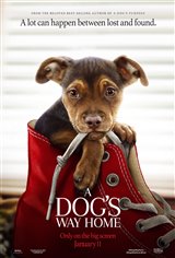 A Dog's Way Home Movie Poster