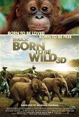 Born to Be Wild 3D Movie Poster