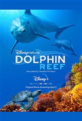 Dolphin Reef (Disney+) Movie Trailer