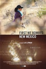 First We Bombed New Mexico Movie Poster