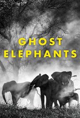 Ghost Elephants Movie Poster