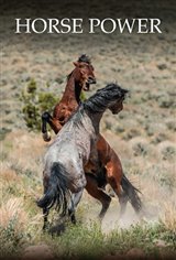 Horse Power Movie Poster
