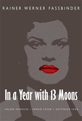 In a Year of 13 Moons Movie Poster
