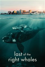 Last of the Right Whales Movie Trailer