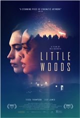 Little Woods Large Poster