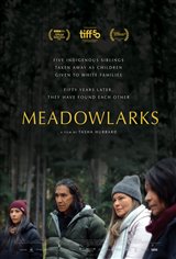 Meadowlarks Movie Poster