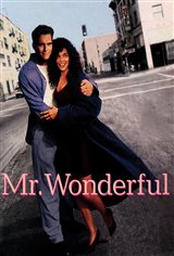 Mr. Wonderful Movie Poster