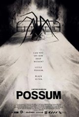 Possum Large Poster