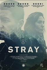 Stray (2018) Movie Poster