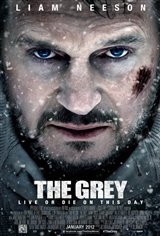 The Grey Large Poster