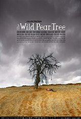 The Wild Pear Tree Large Poster