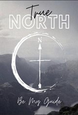True North Movie Poster
