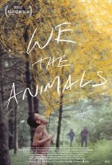 We the Animals Movie Trailer