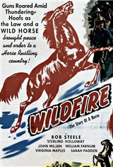 Wildfire Movie Poster