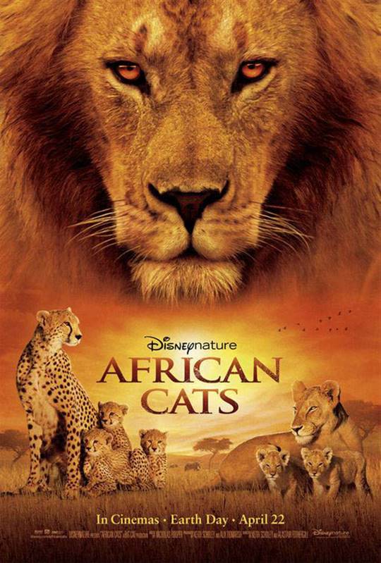 African Cats Large Poster
