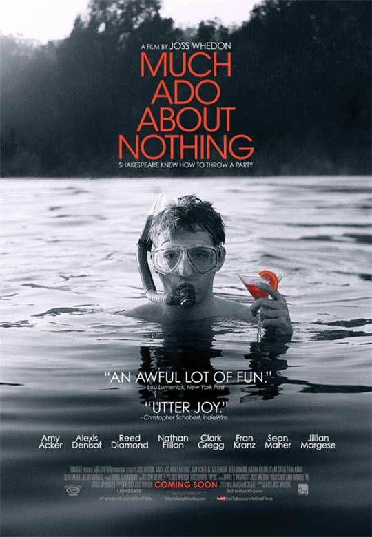 Much Ado About Nothing (2013) Large Poster