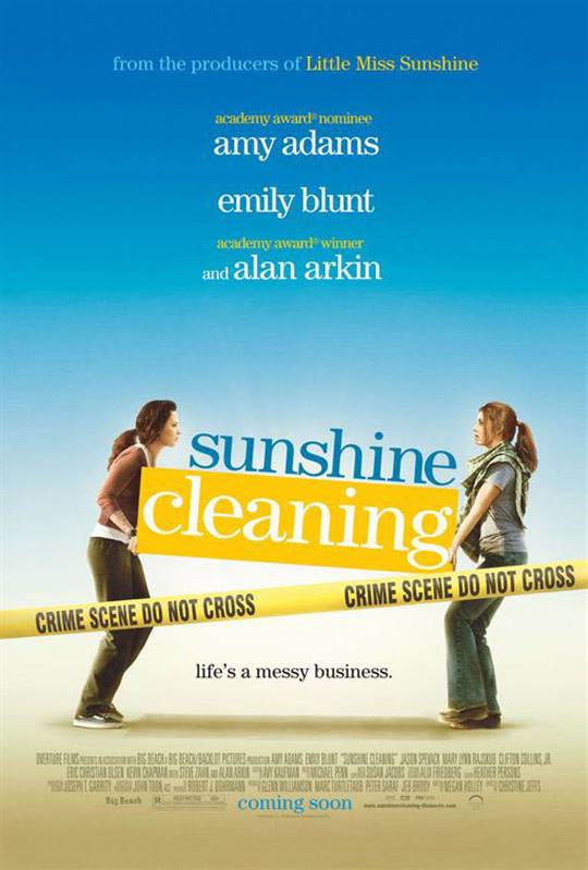 Sunshine Cleaning Large Poster