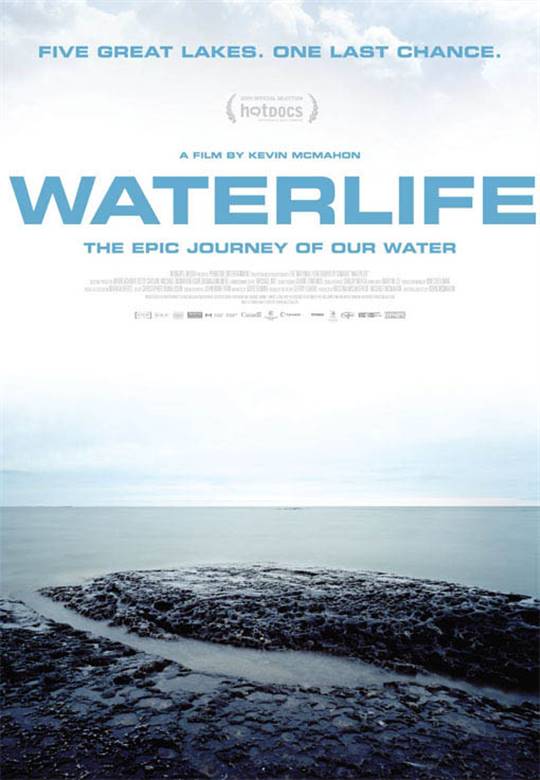Waterlife Large Poster