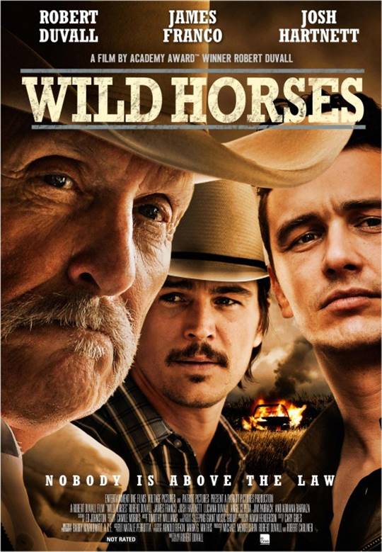 Wild Horses Large Poster