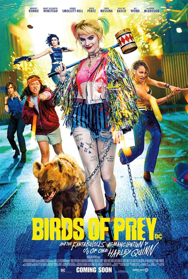 Birds of Prey Large Poster