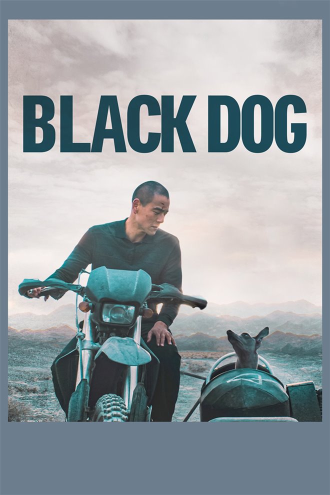 Black Dog Large Poster