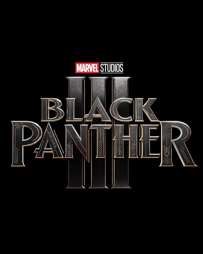 Black Panther III Large Poster