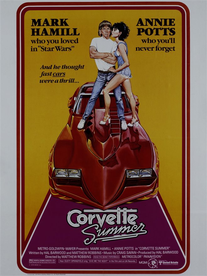 Corvette Summer Large Poster