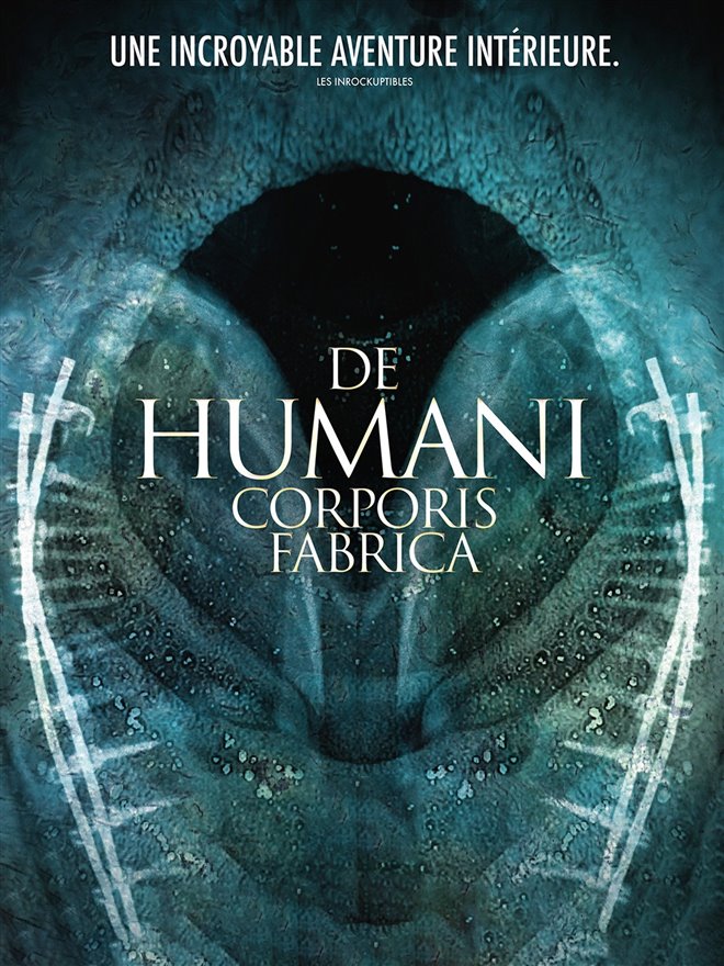 De Humani Corporis Fabrica Large Poster