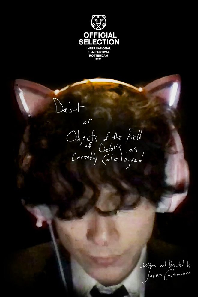 Debut, or, Objects of the Field of Debris as Currently Catalogued Large Poster